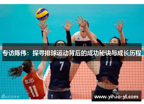 专访陈伟：探寻排球运动背后的成功秘诀与成长历程